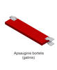 small_Apsauginis bortelis (galinis)